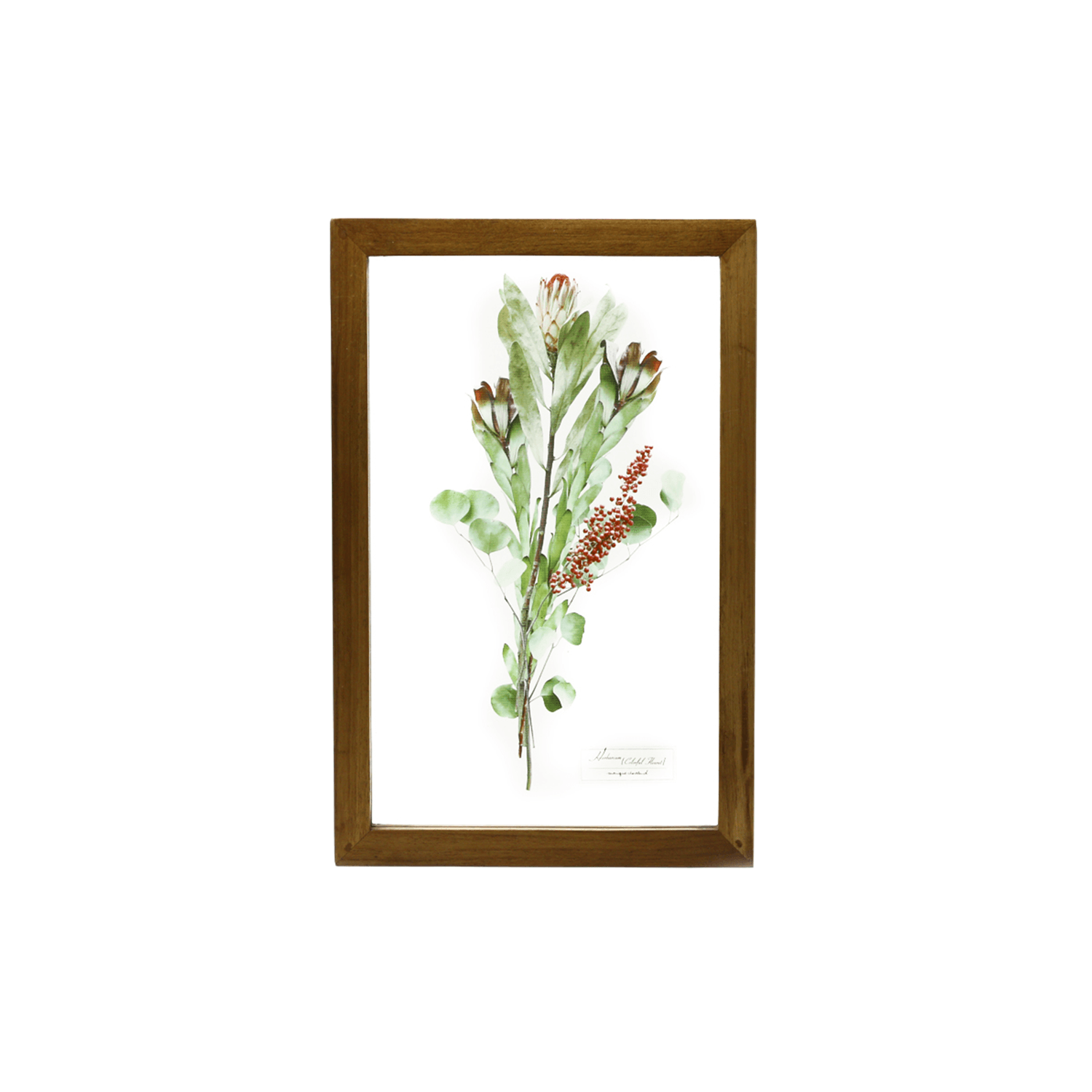 Glass Frame Flower/Pink